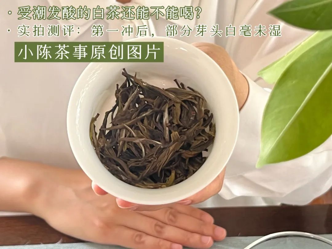 老白茶的药香到底是什么样的,老白茶有桂花香