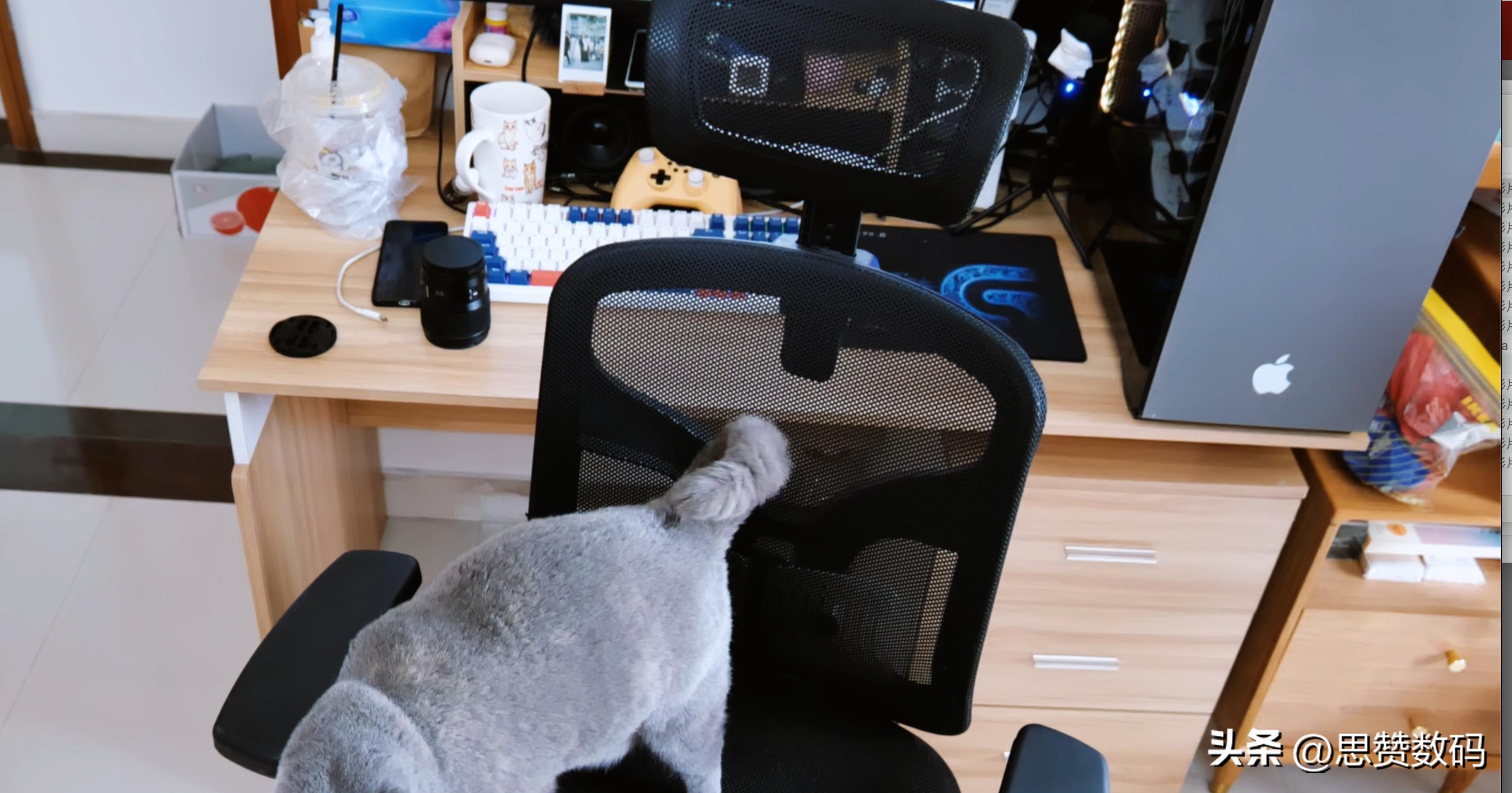 西昊电脑椅m18与m56,歌德利g18六代和西昊m56怎么选