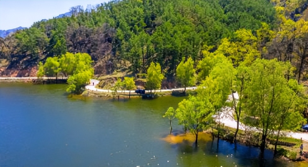 济南夏日森林游玩攻略,藏在济南的夏日度假圣地
