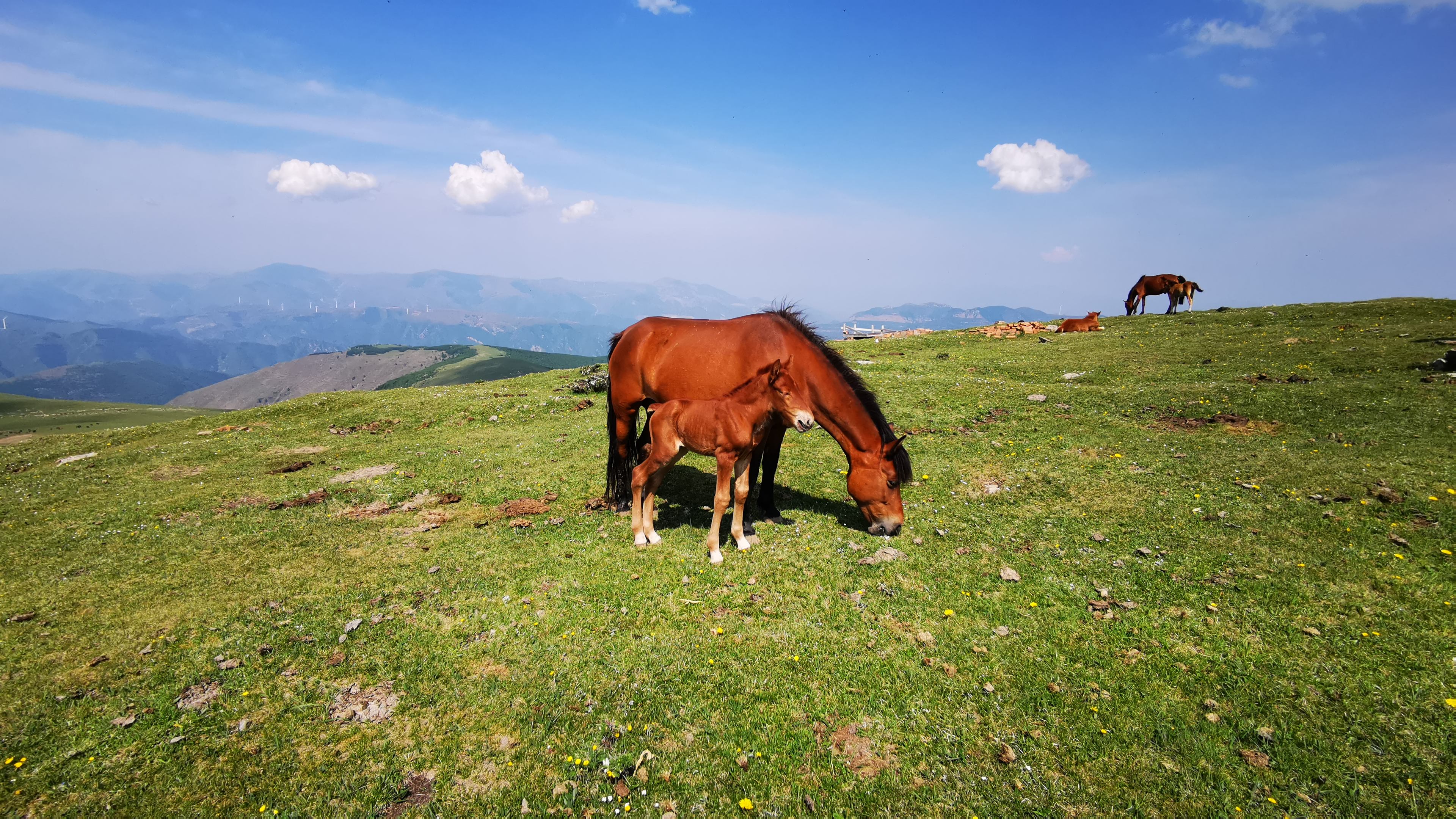 端午节五台山三日大五朝台第二天（西台-中台-插旗台-澡浴池）