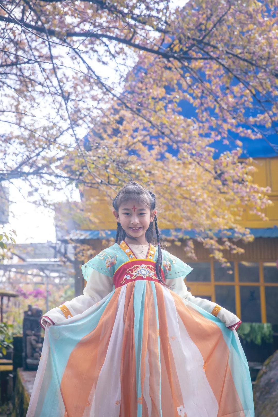 腾冲十里樱花风景区,腾冲到樱花谷旅游攻略