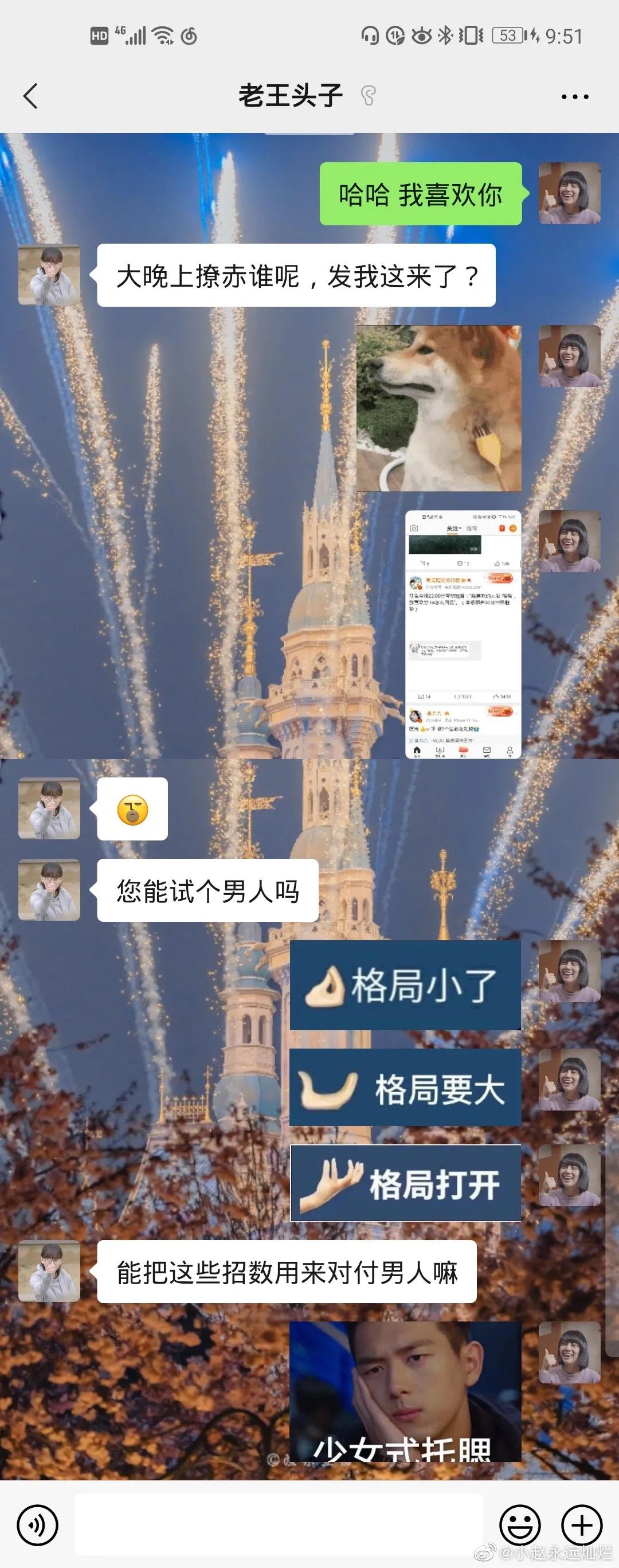 我喜欢你表白搞笑的聊天记录,我喜欢你搞笑的聊天记录