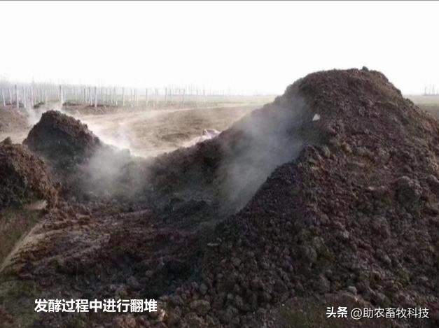 复合肥鸡粪肥,粪制肥料
