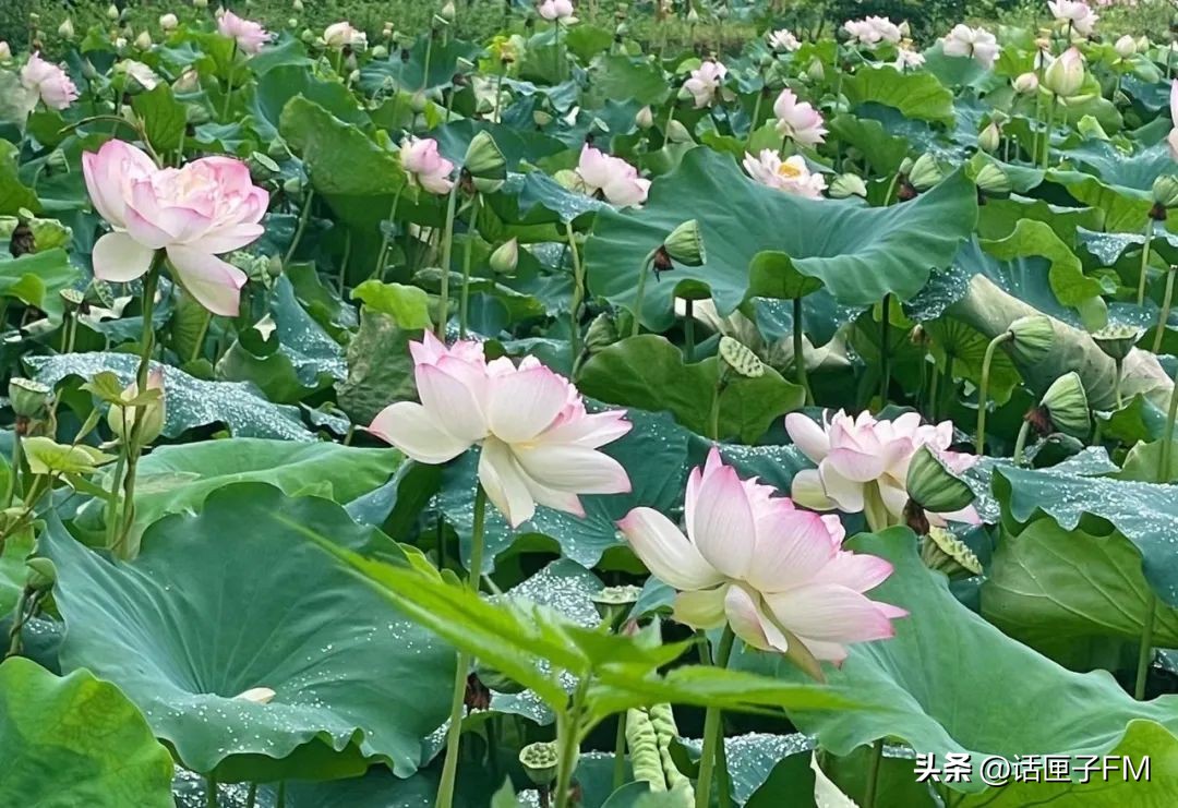 上海首家沙县小吃旗舰店10月开业,“国民小吃”转型升级在沪明合作下步入快车道