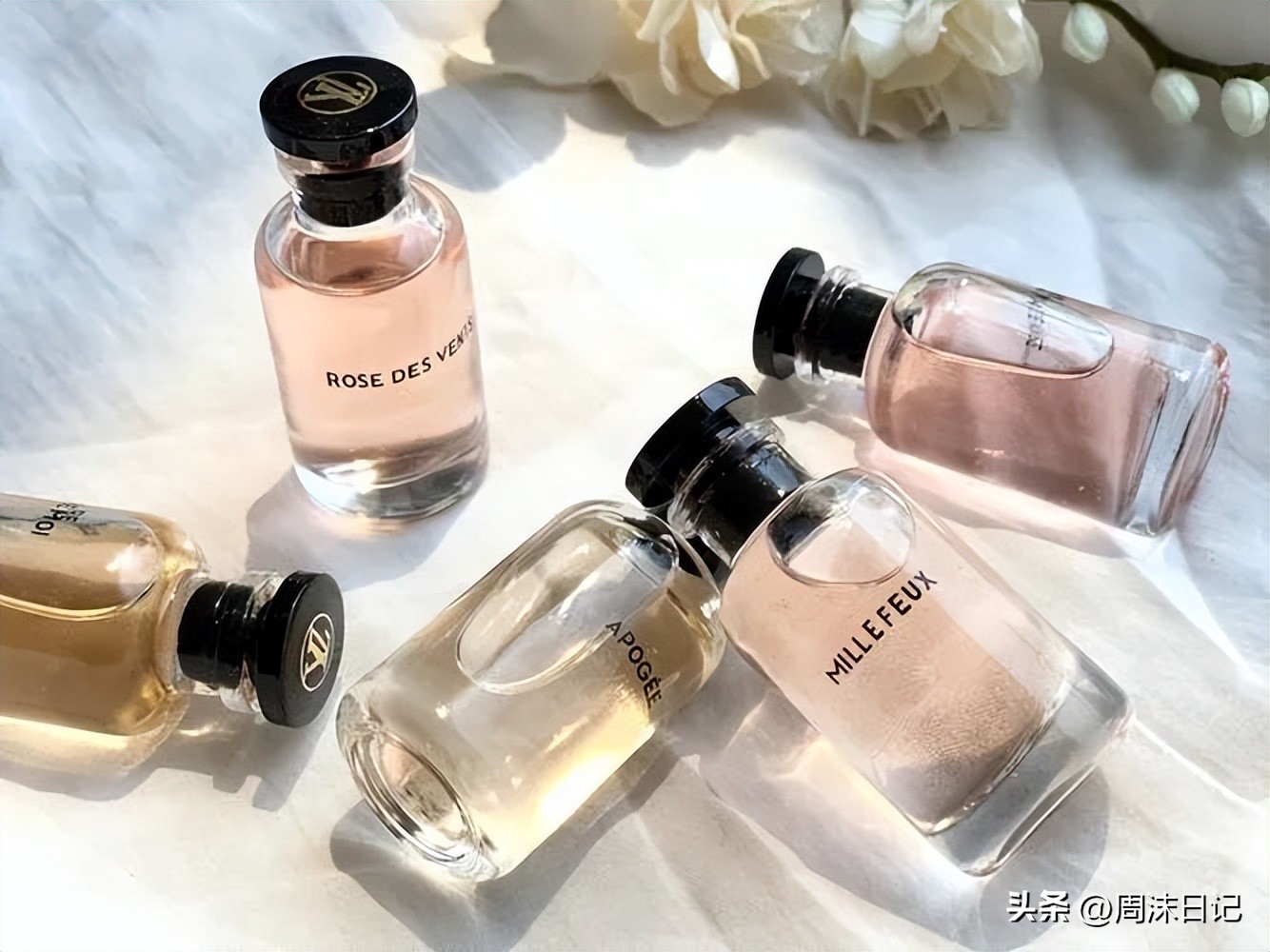 lv历年限定系列,lv这个衣服怎么样