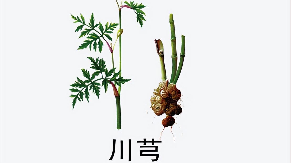 心脏病速效救心丸有用吗,速效救心丸平常吃对心脏有好处吗