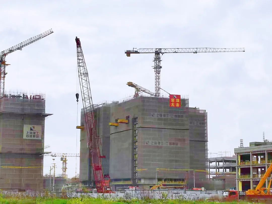 南大！桃浦！能否实现1+1＞2的效果？带飞西北部经济价值增长？