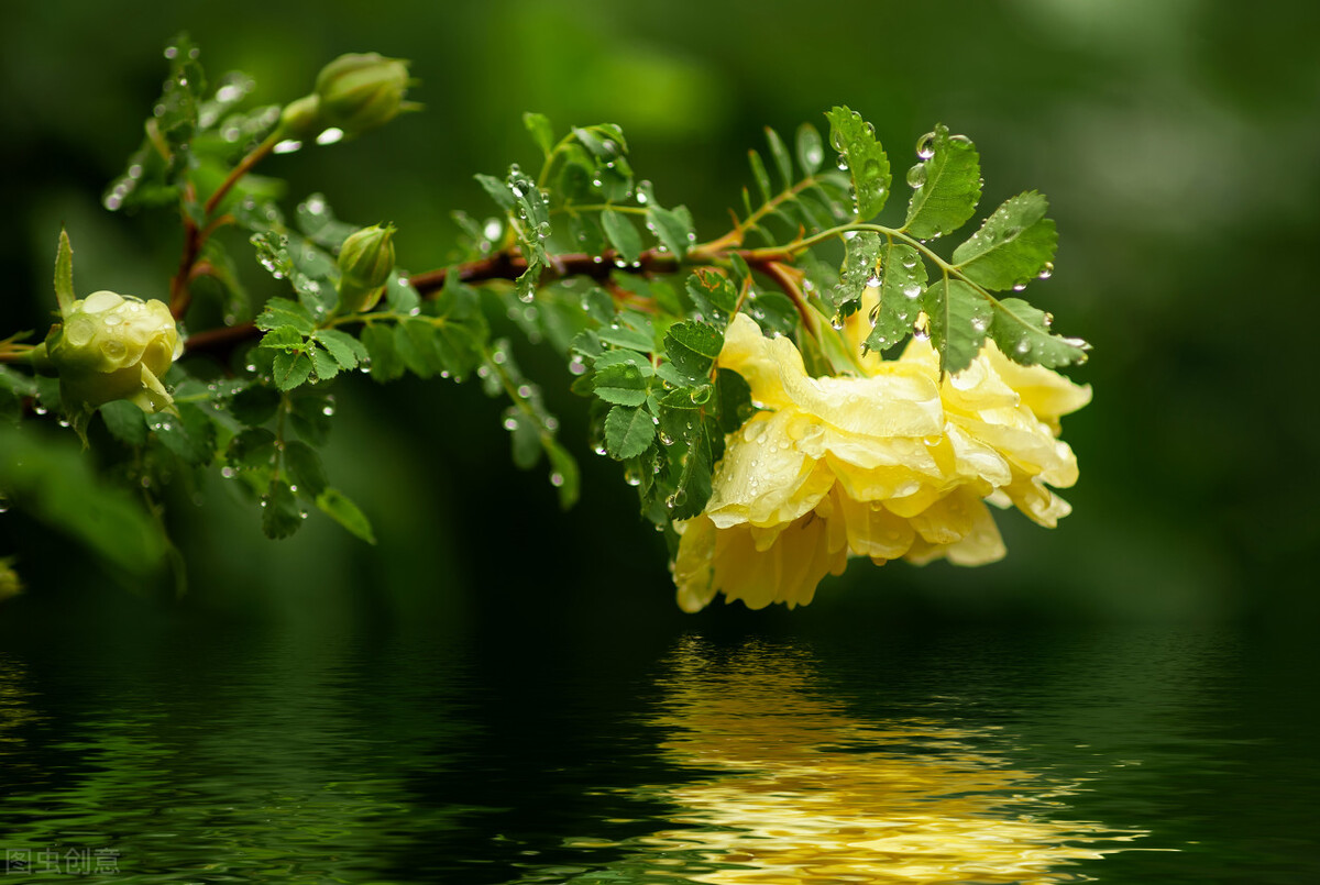 大嫂吃了油焖笋，安心离去了，婆婆偏心造成妯娌恩怨也烟消云散了