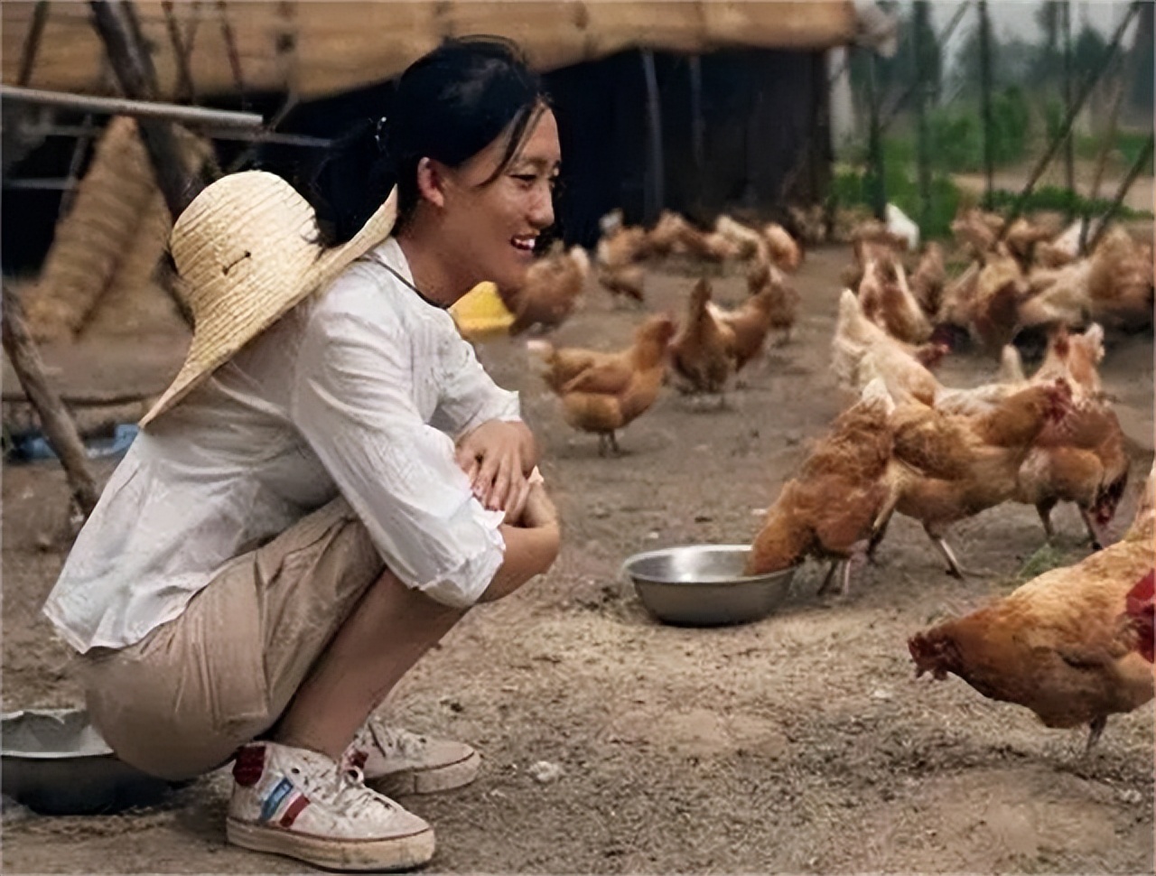 农村女博士靠种地年收入800万,清华女博士种地十一年收入八百万