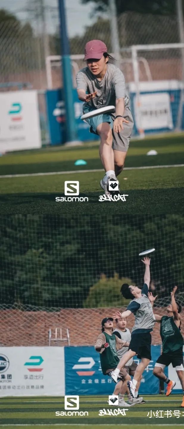 上海玩宠物,上海玩狗户外