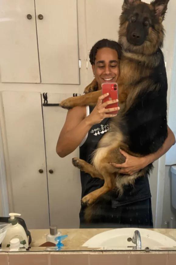 小黄狗长大的过程,小黄狗长大过程