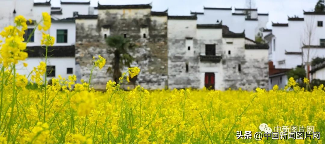 招募！荷赛大师带您记录“美丽中国美丽婺源”