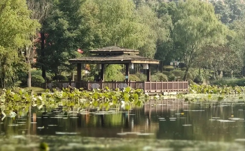 12月南京有哪些免费景点,南京市民免费旅游景点