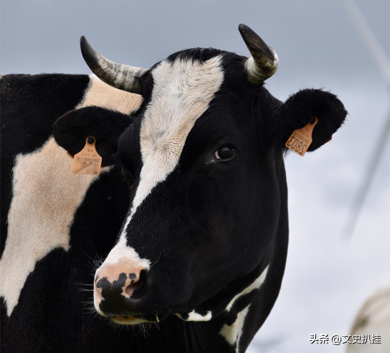 各省地图大图,各个省区的地图哪里找到