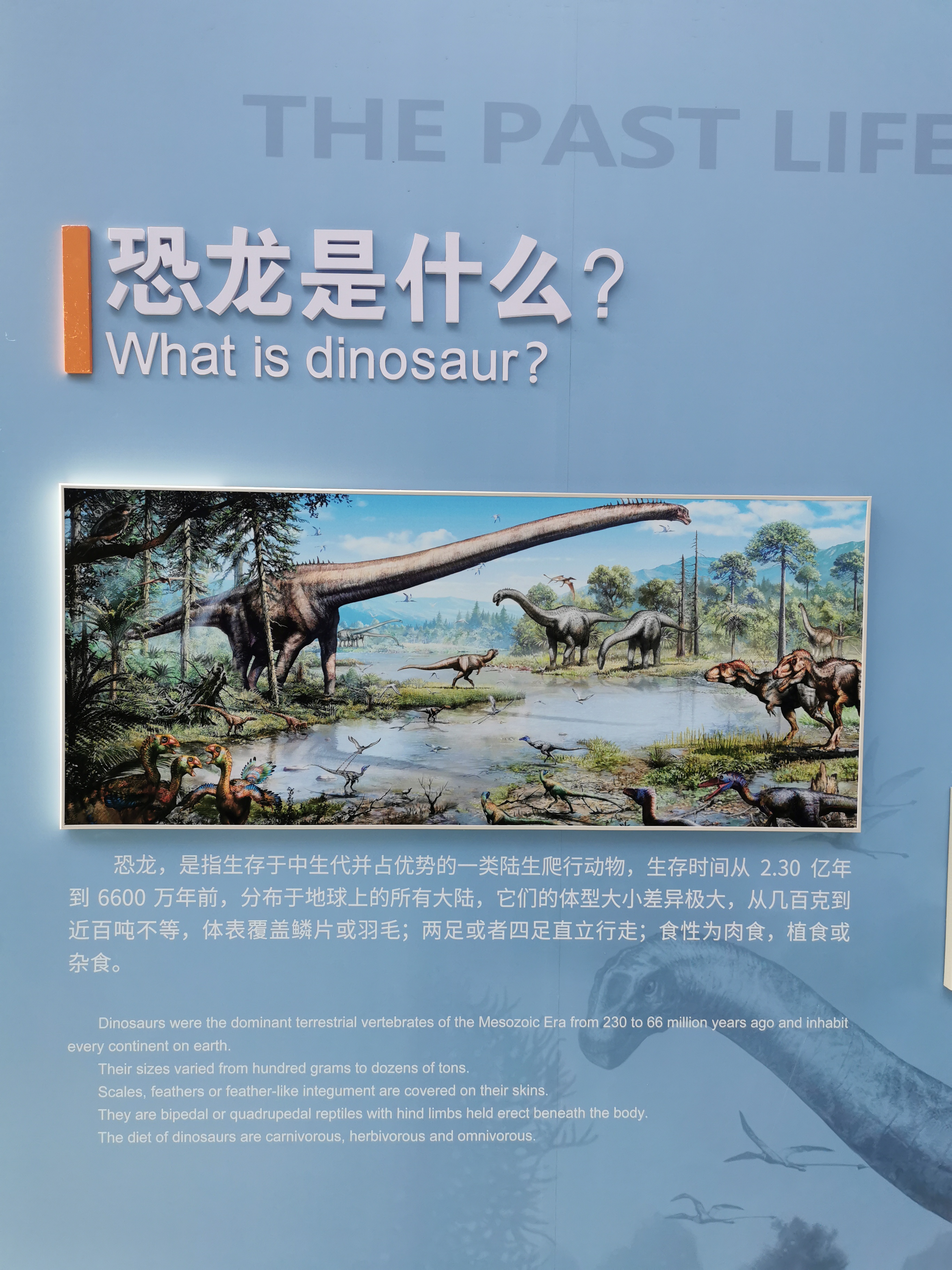 南京古生物博物馆观后感,古生物博物馆南京参观路线