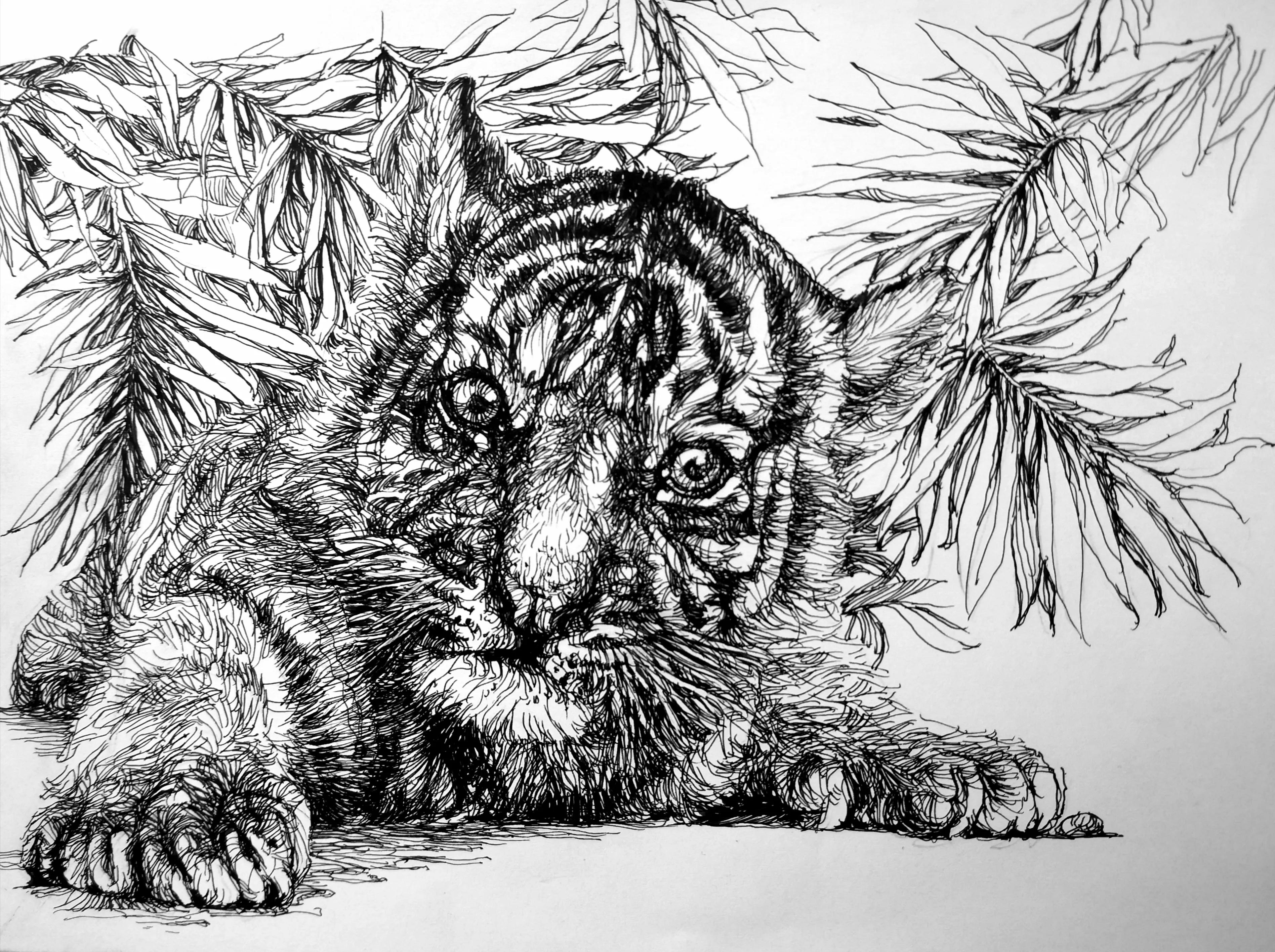 幸福的画吧画友作品展示,幸福画吧7月份作品