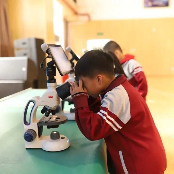 北京基础教育课程建设成果,北京基础教育强基工程