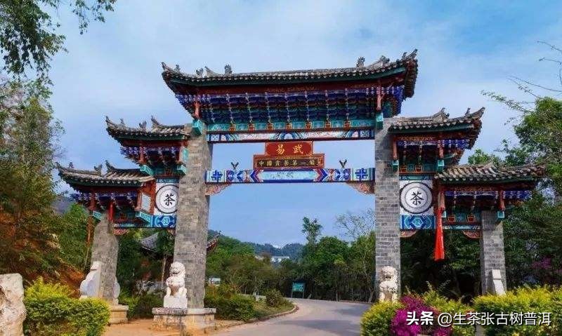 如何选购一款好的普洱茶,如何挑选普洱茶品质