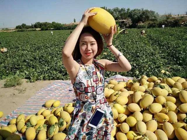 垂涎欲滴的瓜世界：瓜田李下说吃瓜，一片冰心香满园