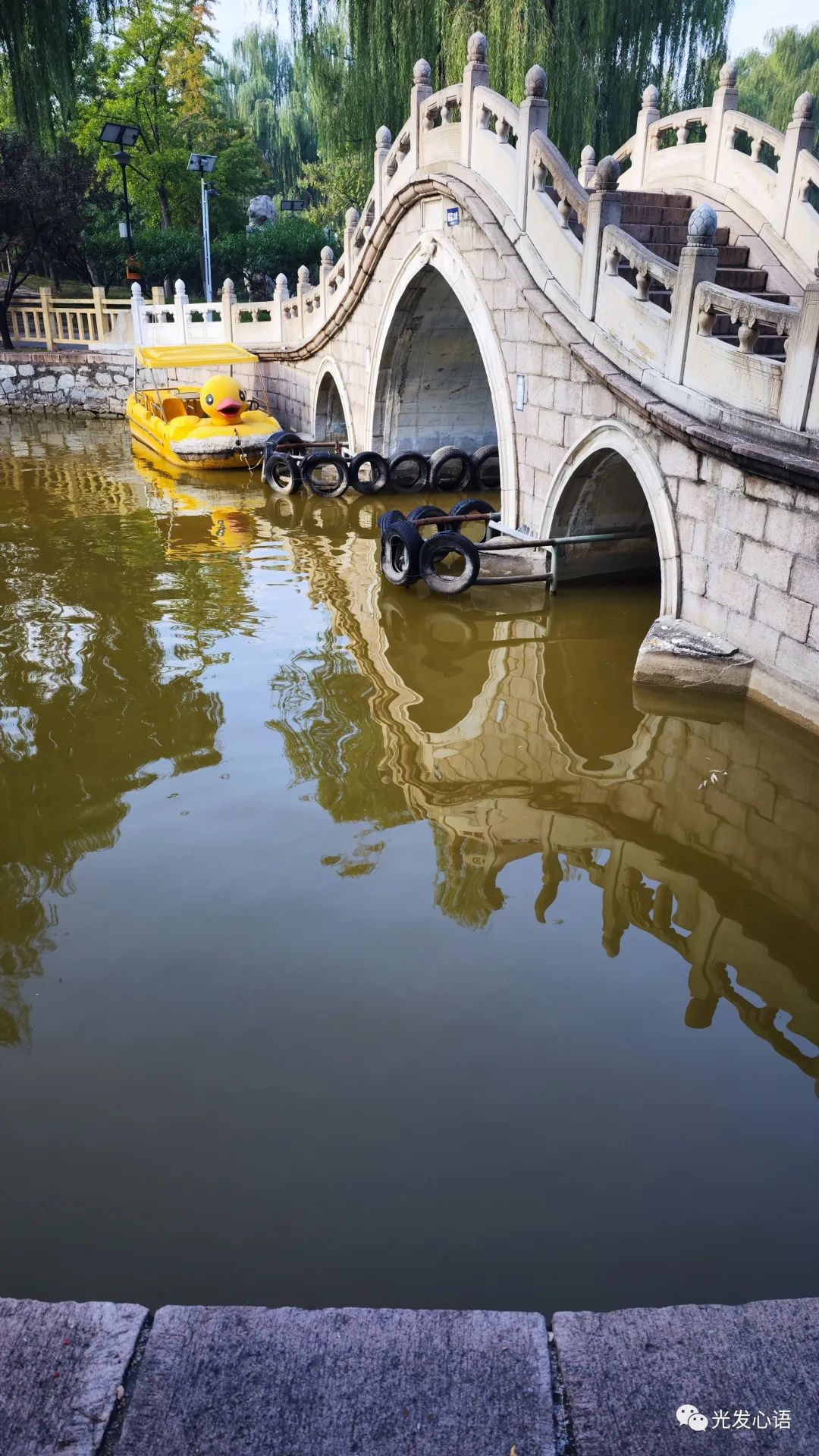 F93：随缘信笔（2023年10月15日）