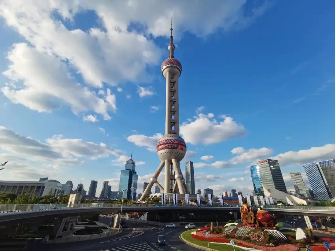 上海野生动物园60岁以上门票多少,上海顾村公园开放时间和门票