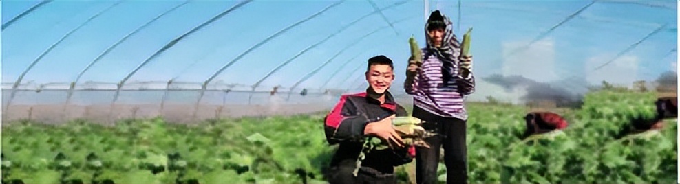 快递物流行业的现状与前景,快递物流发展现状