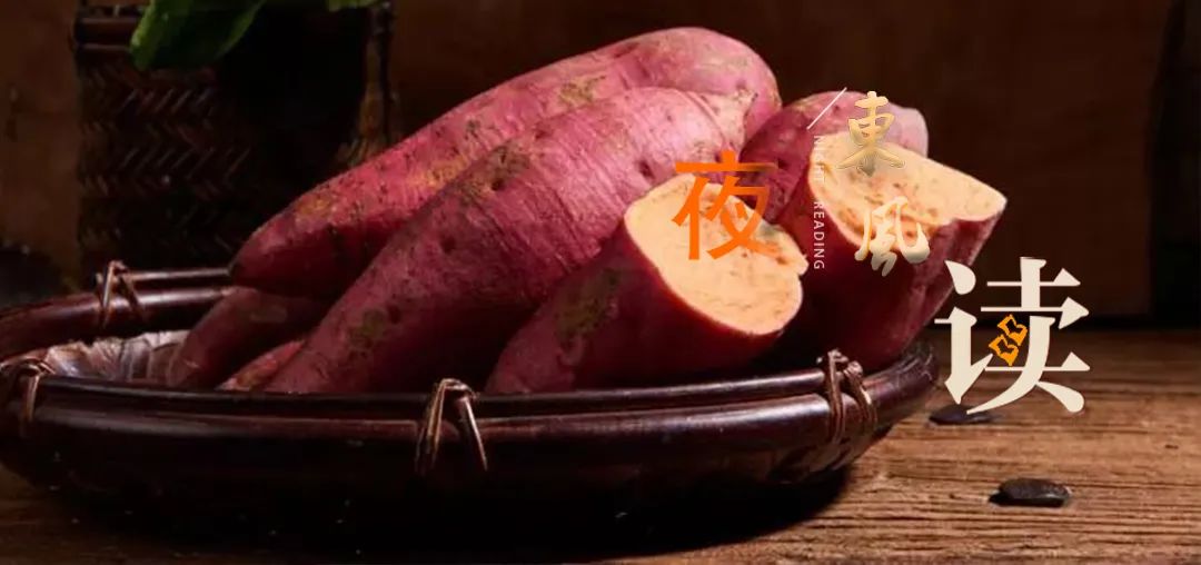 夜读散文流淌在岁月中的甜蜜,冬日夜读散文随笔