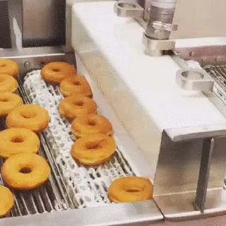 真实大象的照片,在野外拍到的真实大象