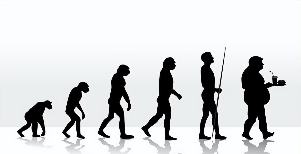 人类褪去周身毛发，为什么仅存头发、腋毛、阴毛？这是个谜