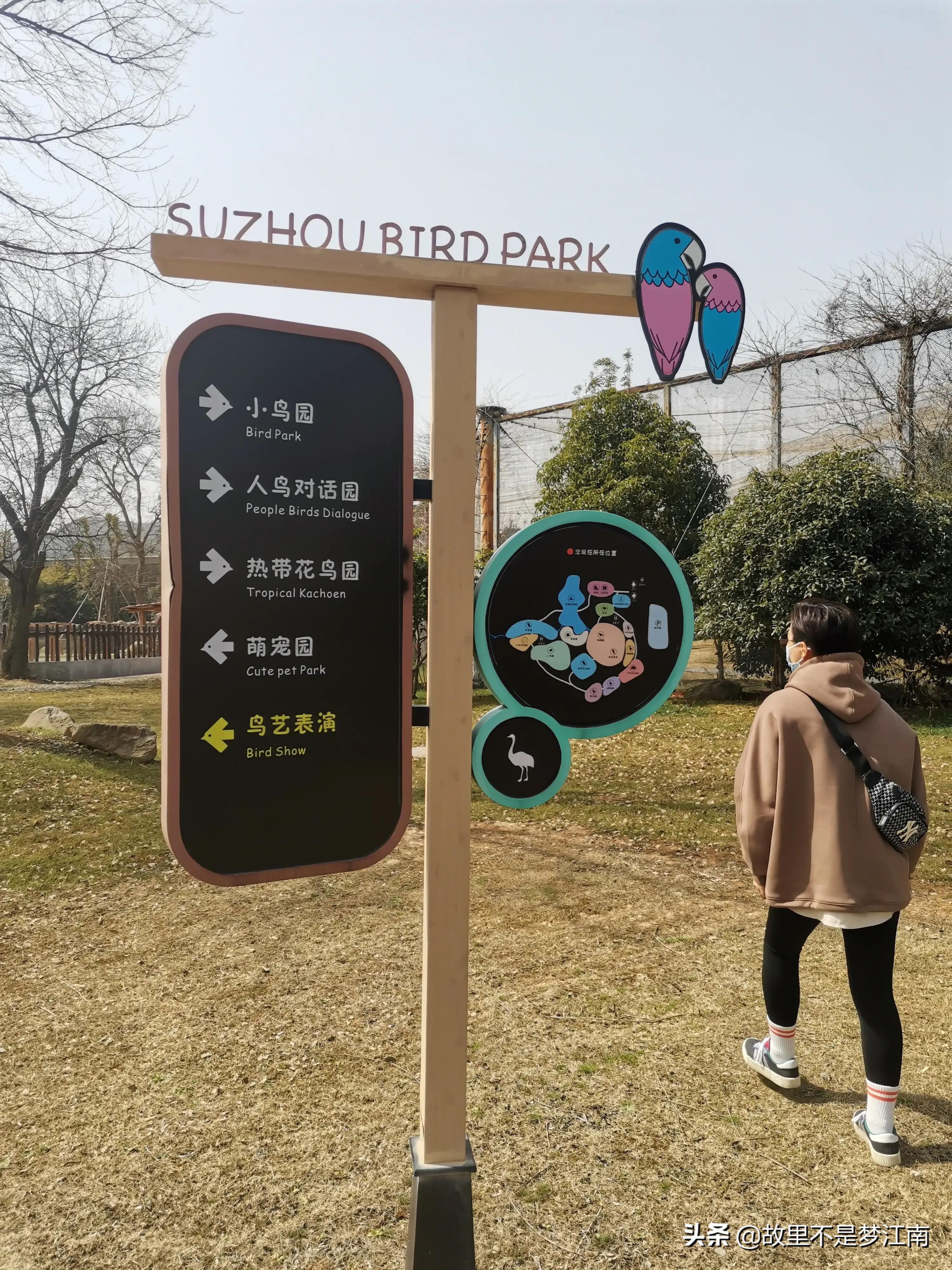 百鸟园儿童乐园,百鸟公园儿童乐园