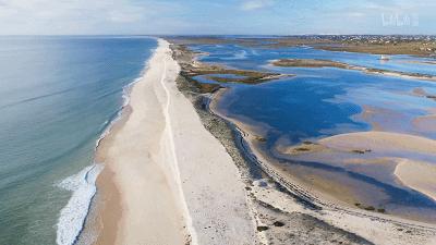 原来它们也有“性丑闻”,这片看完让我大开眼界