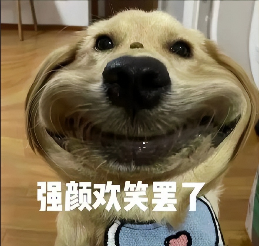 关于hr给出的福利,免费领取hr神器