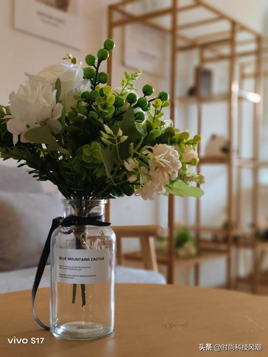 vivos17一图评测影像出众续航超群,vivos17标准版拍照测评