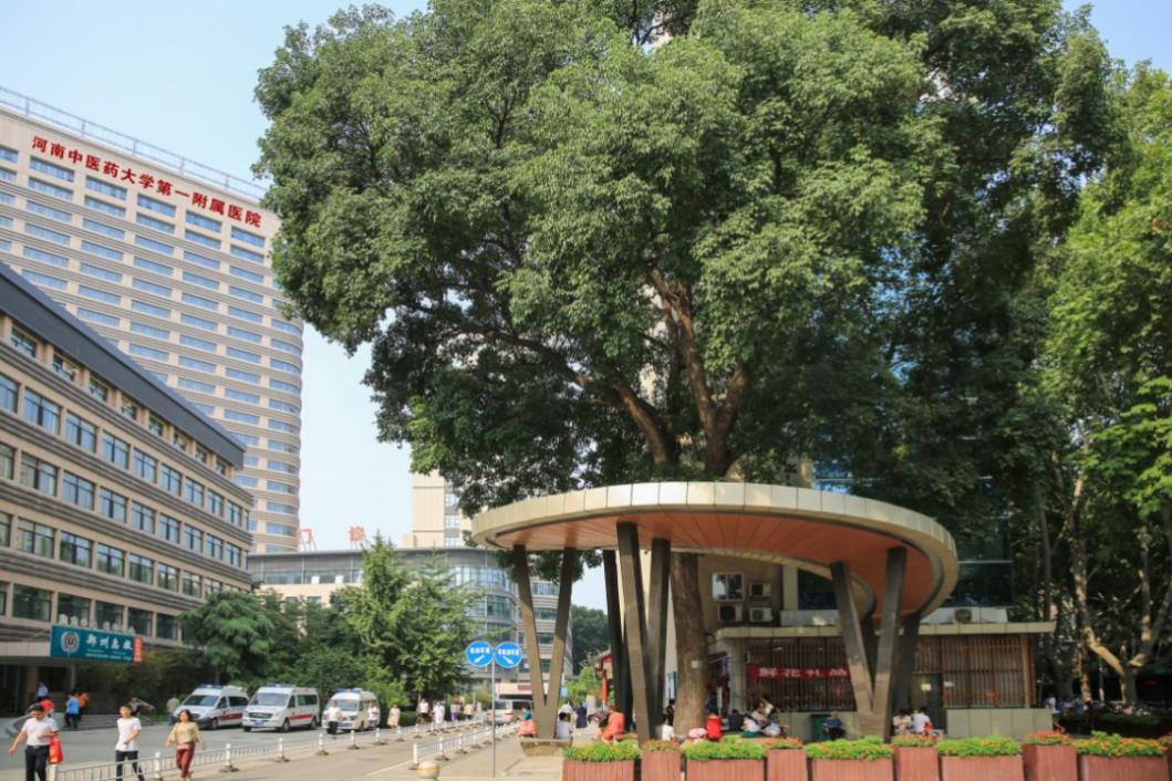 河南省2024国考最高成绩,河南省医院国考完整排名