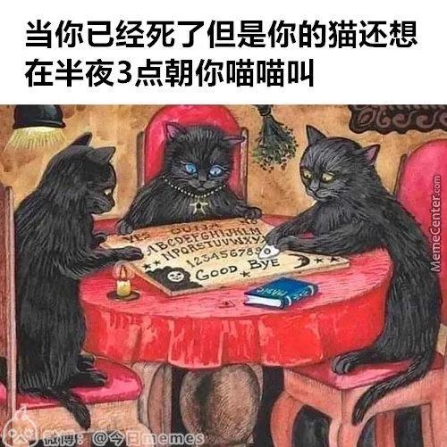 搞笑图片mc合集,meme搞笑图