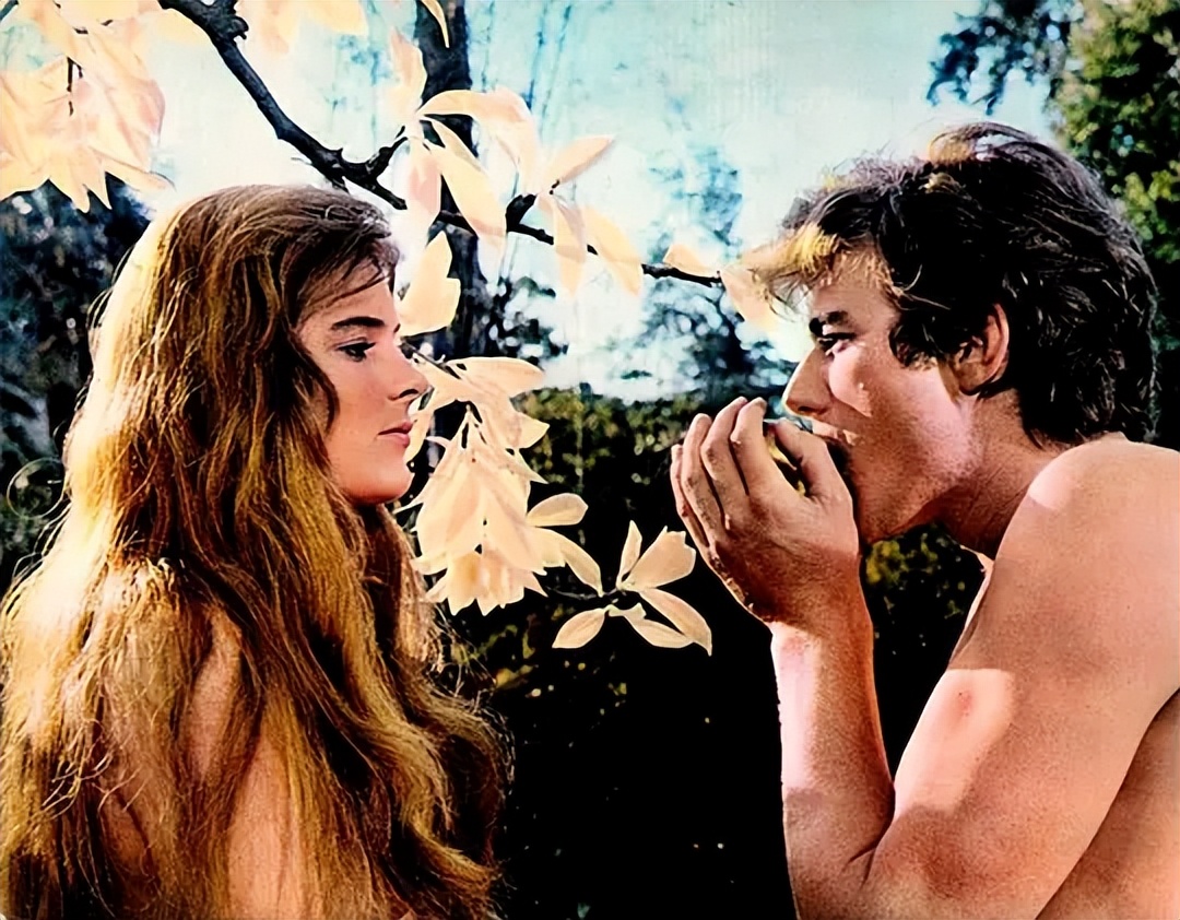 圣经电影创世时代,圣经中的意象及内涵