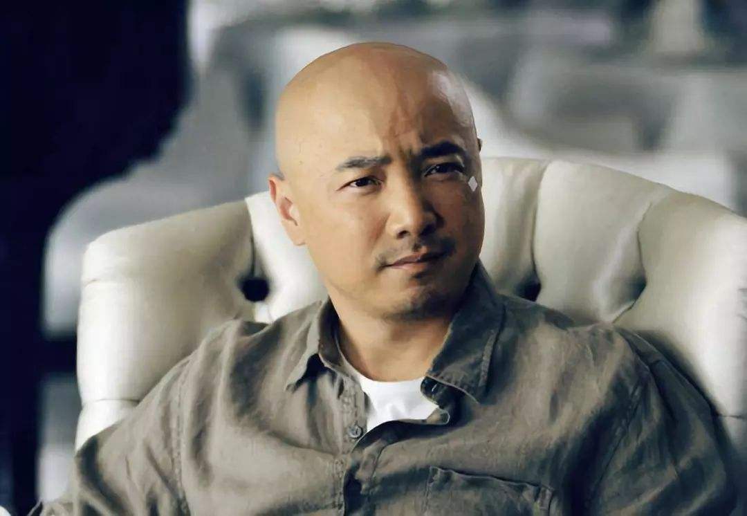 tst张庭陶虹徐峥,陶虹退出张庭公司股东