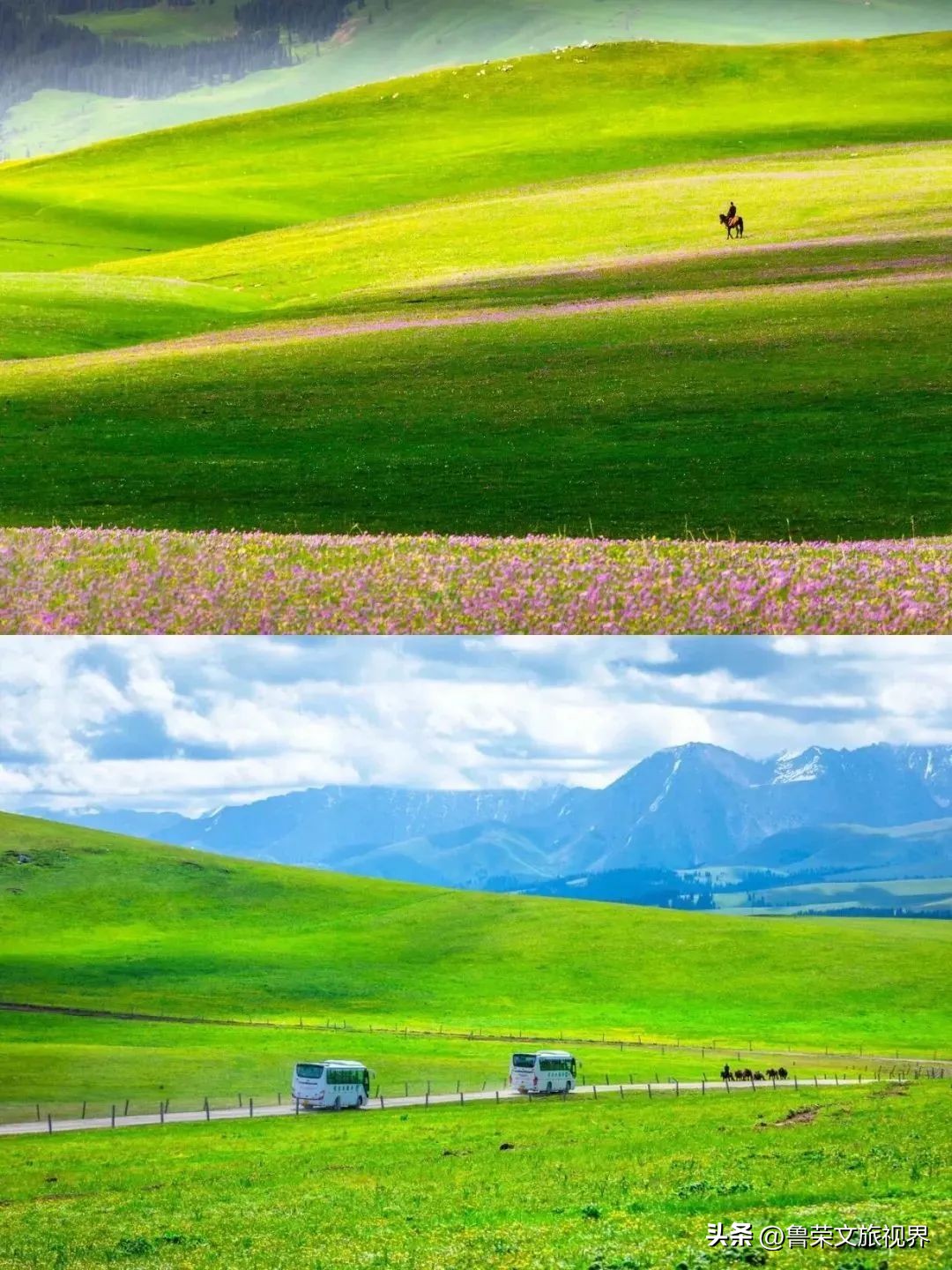 暑假请带孩子去这7个地方，每一个都美到炸裂！