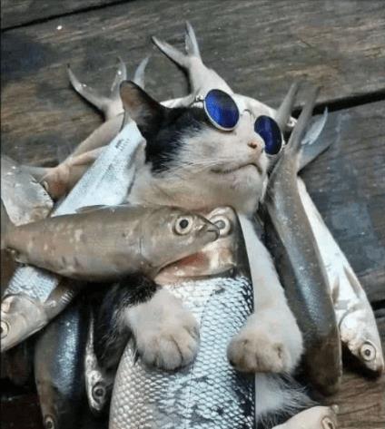 邻居口中的“米粉店表妹”：勤快腼腆美丽，小区男人心中的白月光