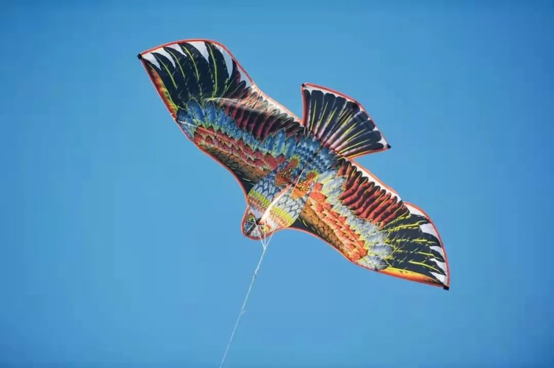 春天的天空是属于风筝的，快收藏济南这些放风筝的好地方！