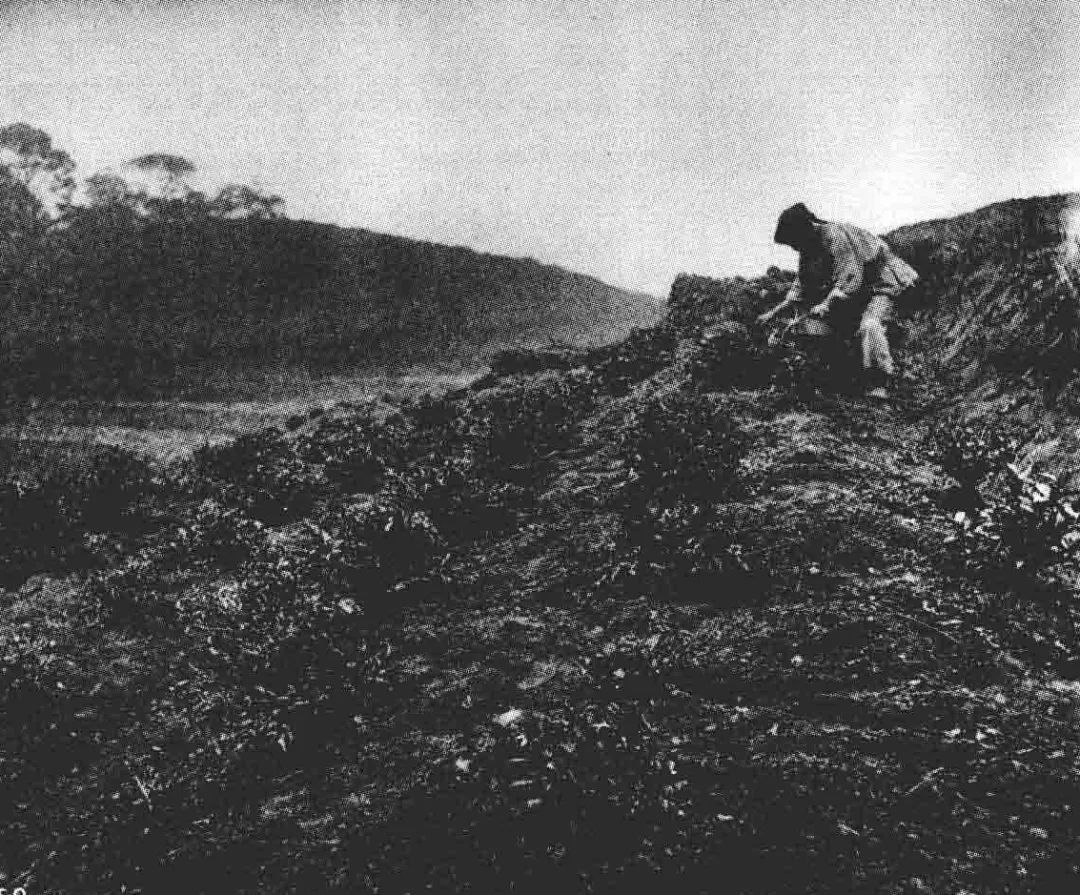 听说明儿下雪,抱紧了我的保温茶杯