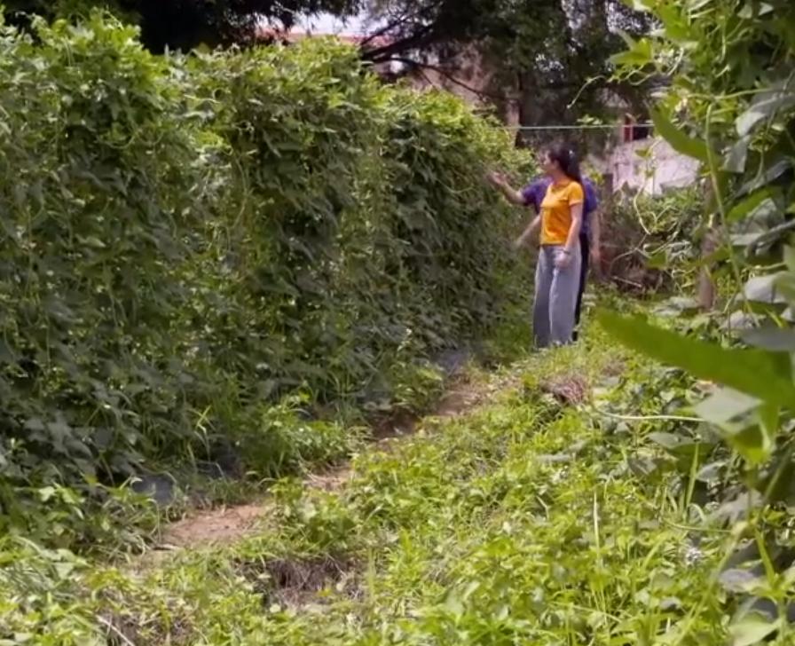 2017年，广东美女创业制作腌豆角，一年卖出3000万，产品远销海外