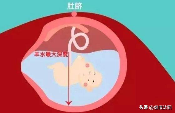 孕产妇健康知识科普视频,孕产妇健康教育知识总结