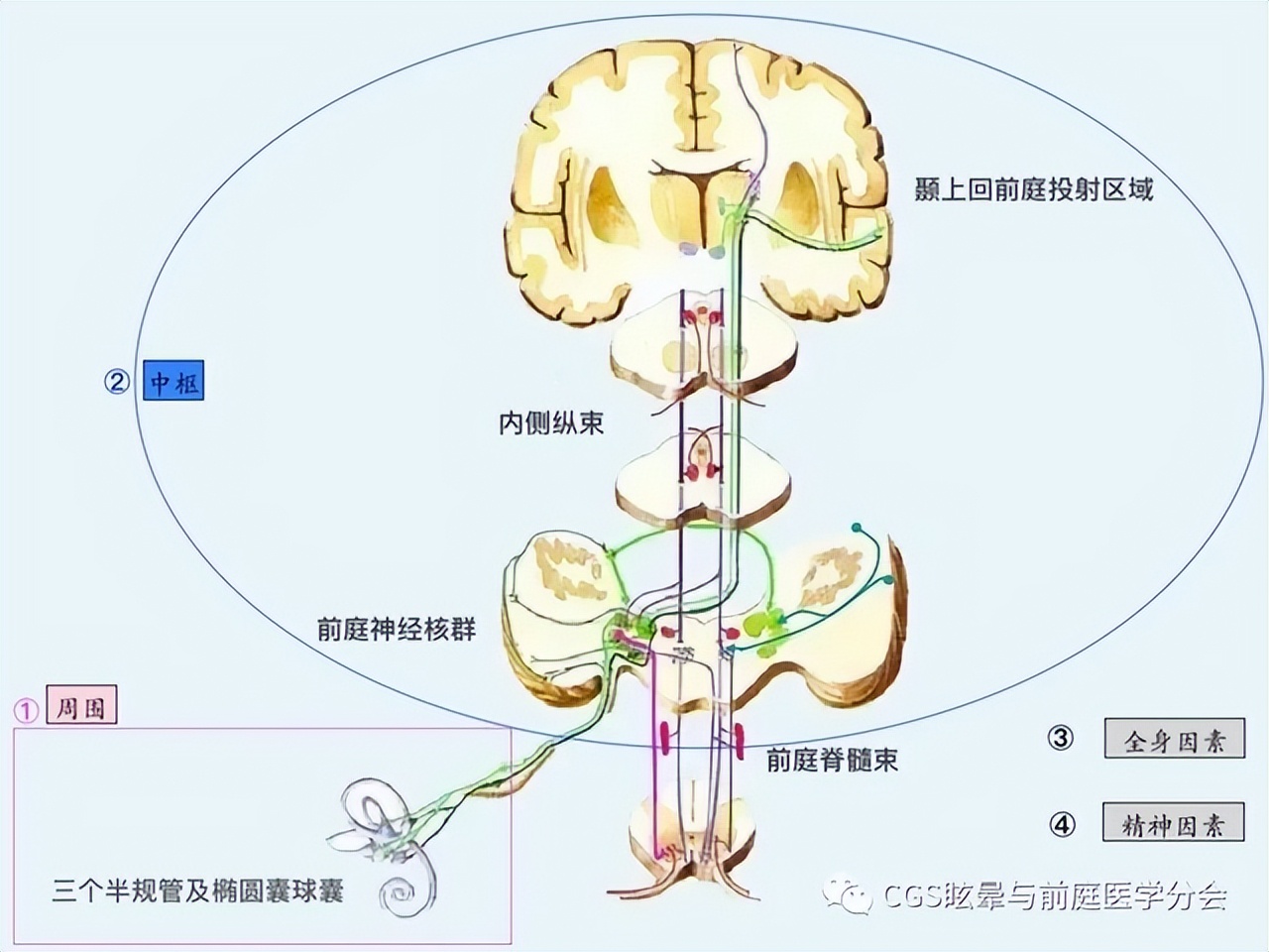 「转载」眩晕是怎么回事？怎么办？