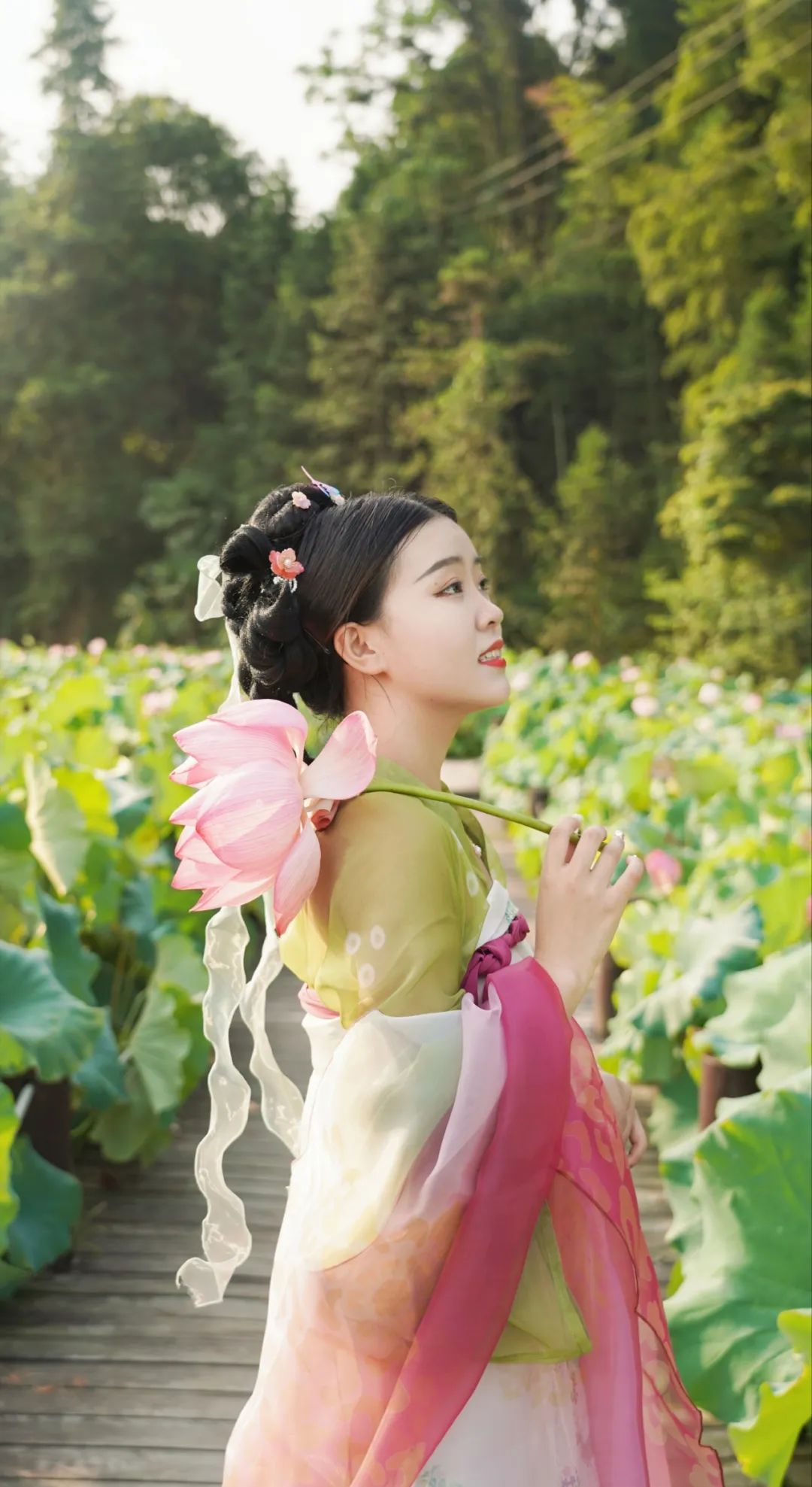 小暑已至！夏日顶流登场，一池荷风，满院莲香，惊艳了整个夏天！