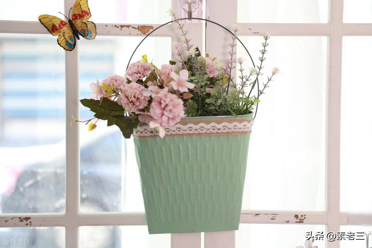 女作家去做保姆119,女作家去做保姆378