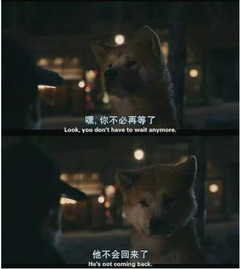 马航mh370失联事件最终结果公布,马航mh370失联的科学家有哪些