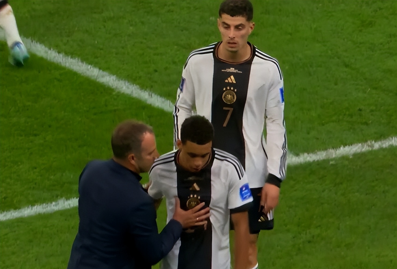 泰山体育为什么会成功,泰山体育观点