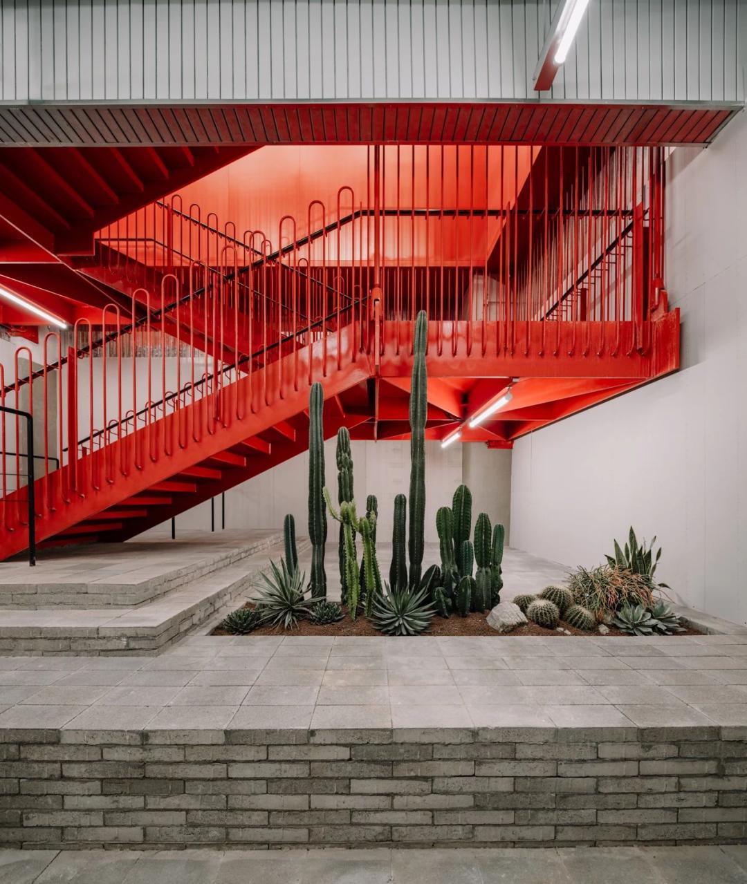 2023最吸引年轻人的商业项目,新项目2023最火项目排名