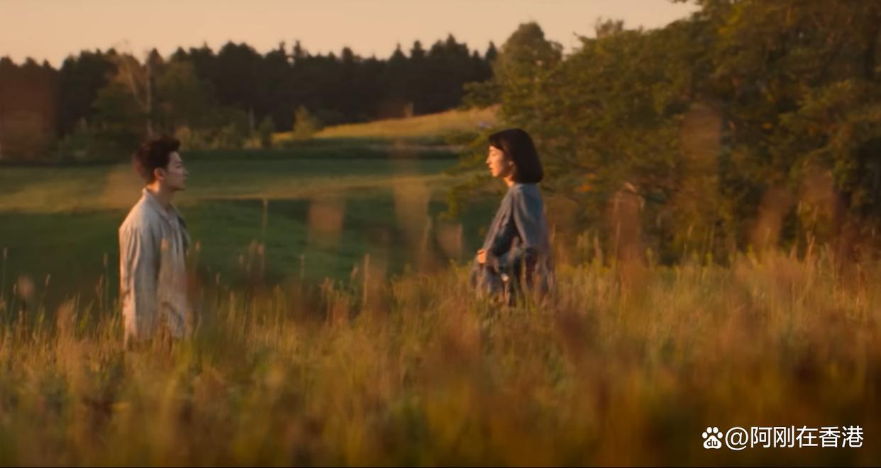 日本电影初恋满岛光佐藤健主演,佐藤健和满岛光甜蜜热恋